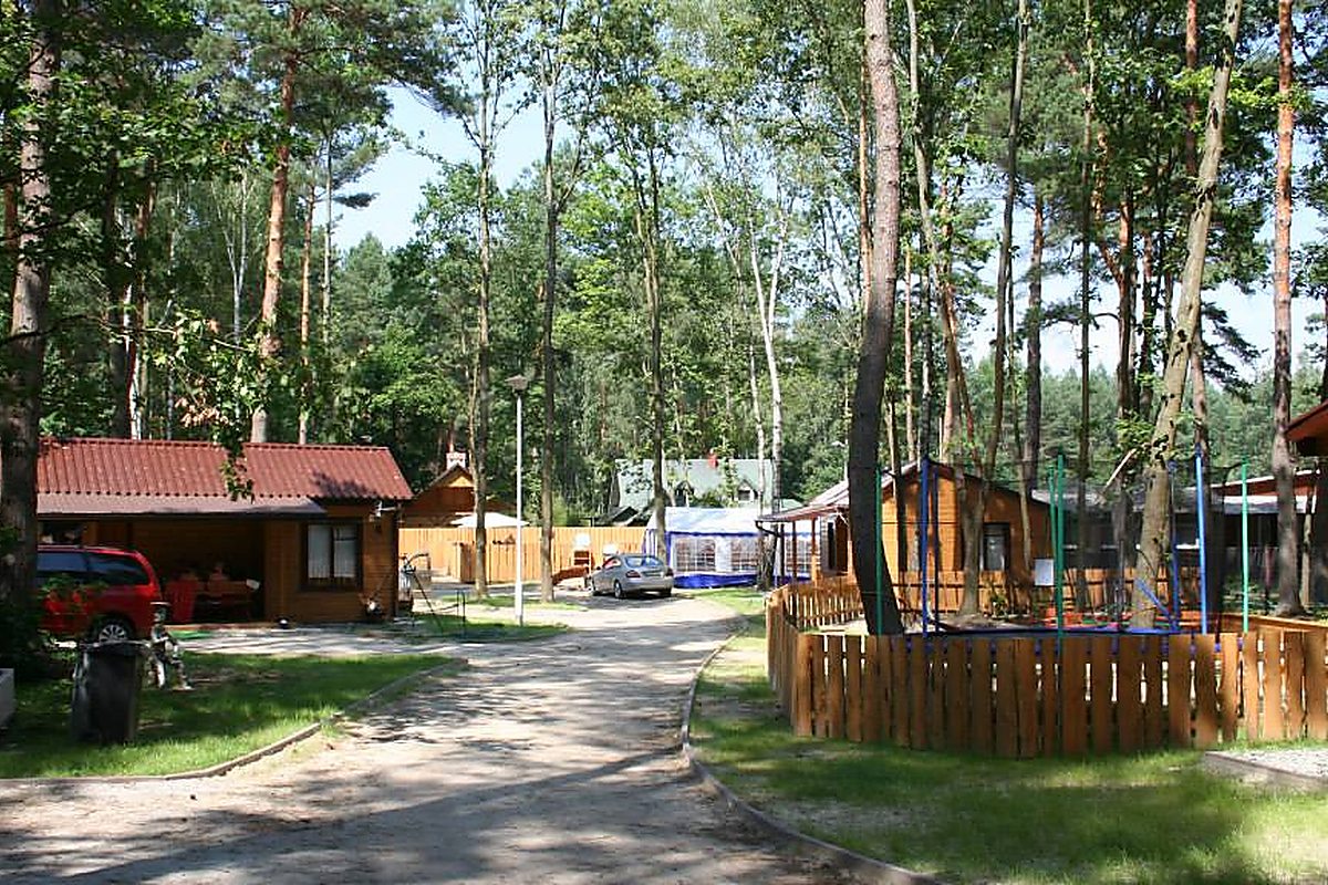 Domki letniskowe wśród sosnowego lasu